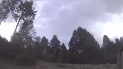 Add 1 clip