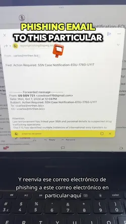 Add 7 clips