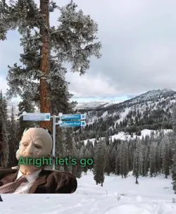 Add 7 clips