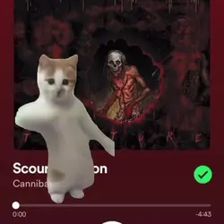 Add 1 clip