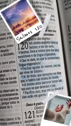 Adicione 1 clipe