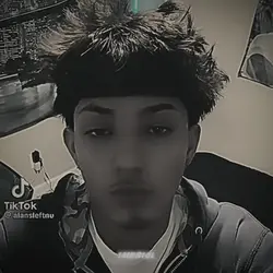 Add 25 clips