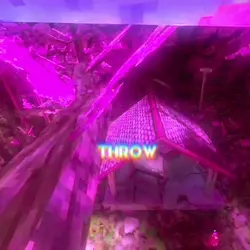 Add 1 clip