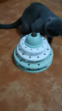 新增 1 個片段