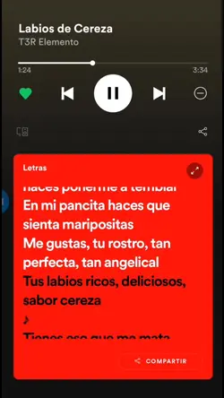 Agregar 1 clip