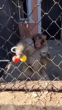 Add 2 clips