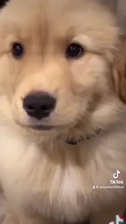 Add 1 clip