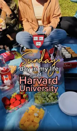 A Day in the Life As A University Student