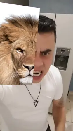 Agregar 1 clip