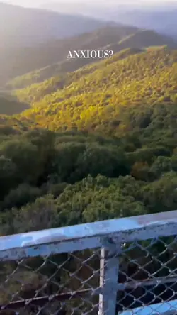 Add 1 clip