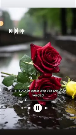 Agregar 6 clips
