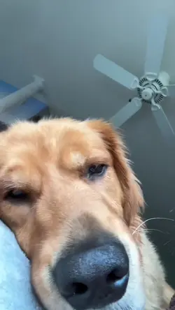 Add 1 clip