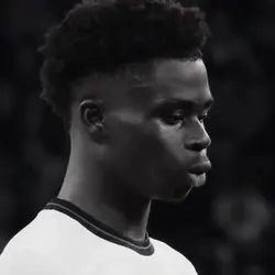 Add 40 clips