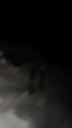 Add 7 clips