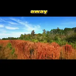 Add 4 clips