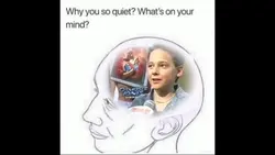 Add 1 clip