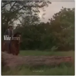 Add 11 clips