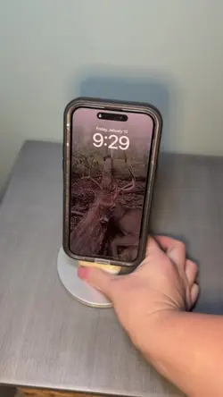 Add 6 clips