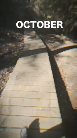 Add 1 clip