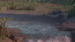 Add 3 clips