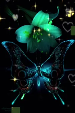  Butterfly magic 🥰❤️