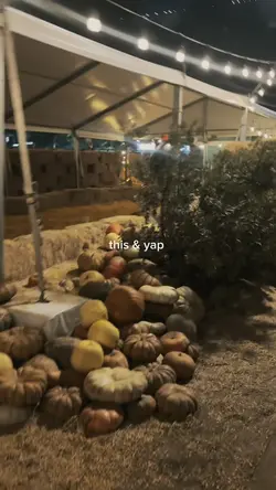 Add 8 clips