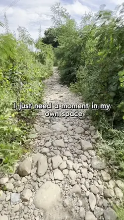 Add 1 clip