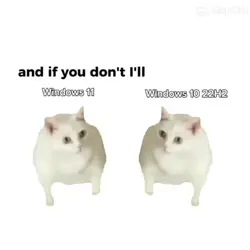 Add 10 clips