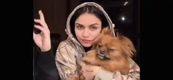 Add 6 clips