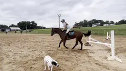 Add 1 clip