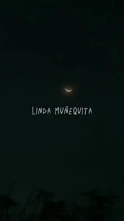 Agregar 1 clip