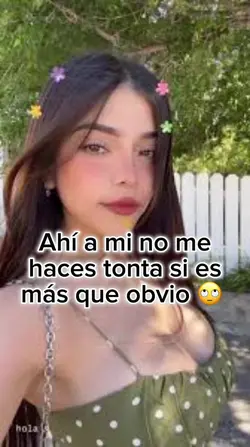 Agregar 17 clips