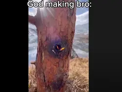 Add 1 clip