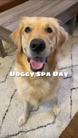 Doggy Spa Day