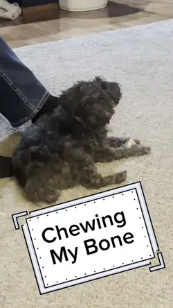 Add 1 clip