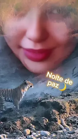 Adicione 1 clipe