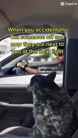 Add 1 clip