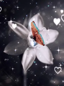 Magic flower 🥰❤️