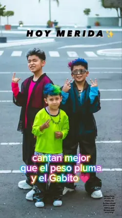 Agregar 22 clips