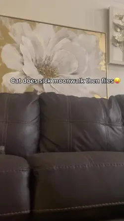 Add 1 clip