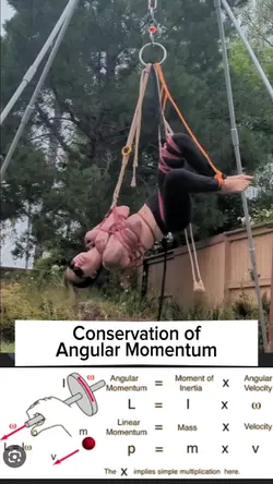 Add 1 clip