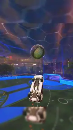 Add 18 clips