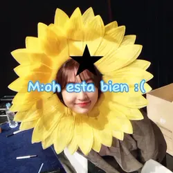 Agregar 5 clips