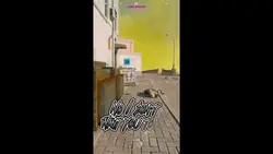 Add 5 clips