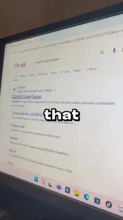 Add 6 clips