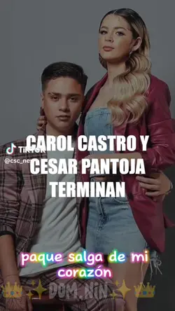 Agregar 4 clips