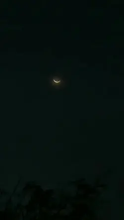 Agregar 1 clip