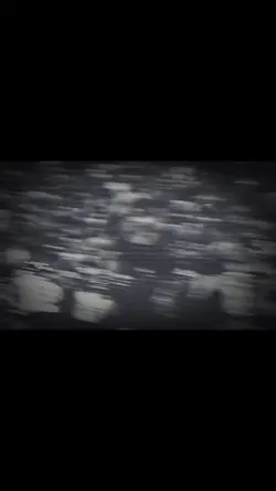 Add 29 clips