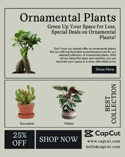 Household Accessories Ornamental Plant Sales Promotion Instagram Potrait