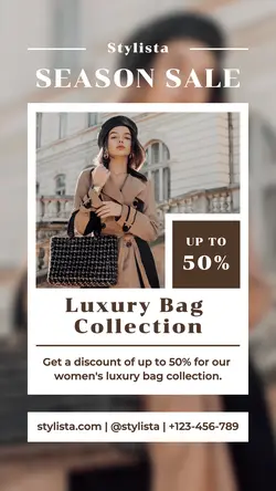 Women Bag Promotion Instagram Story